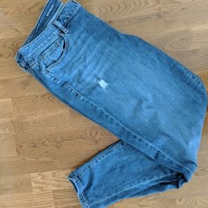 Lane Bryant distressed Boyfriend Jean size 18